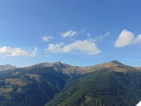 DSC03561